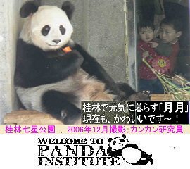 200703panda.jpg