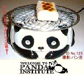 20090102toppanda.jpg