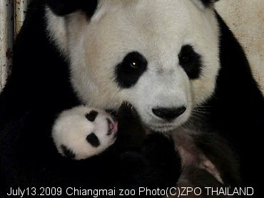 20090713-47days001.jpg