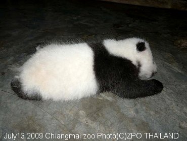 20090713-47days006.jpg
