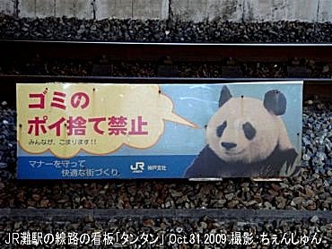 神戸王子動物園のパンダ20091031