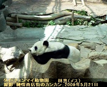 chen111.jpg