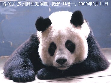 kousuyasei20090911-003.jpg