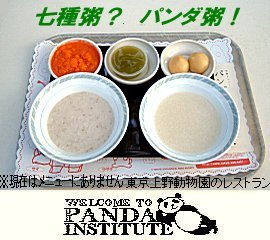 pandakayu-set.jpg