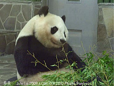 pankou003.jpg