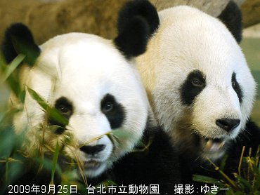 taipei005.jpg