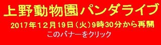 uenopandalive20171219.jpg